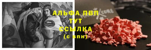 СК Богородск