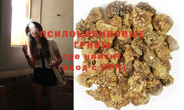 мяу мяу мука Тольятти
