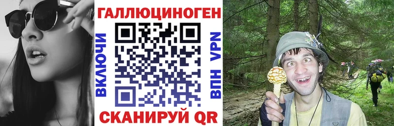 Псилоцибиновые грибы Psilocybine cubensis  Бирск 